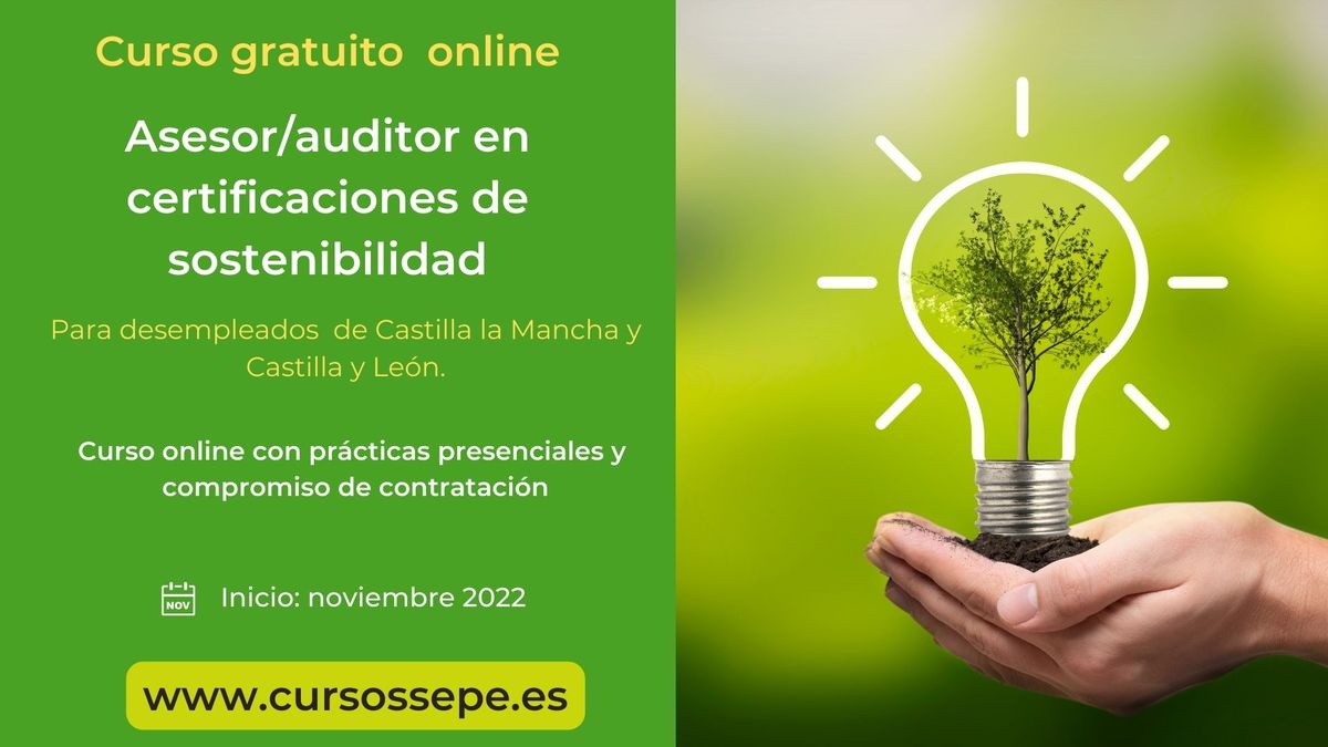 Curso auditor sostenibilidad